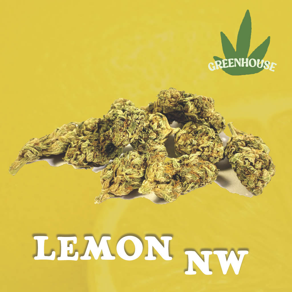 Lemon NW CBD