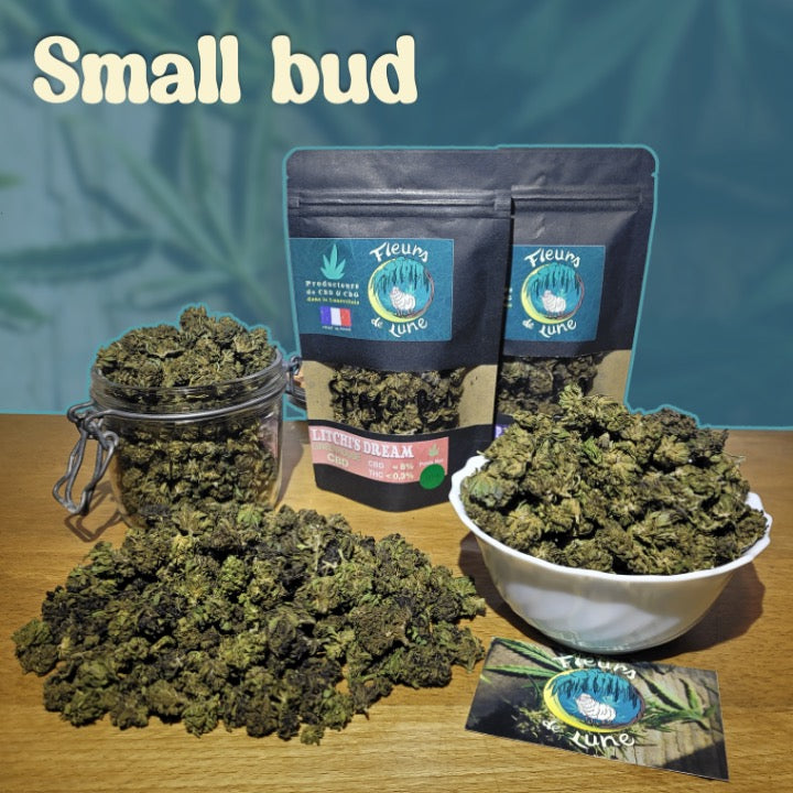 Small Bud