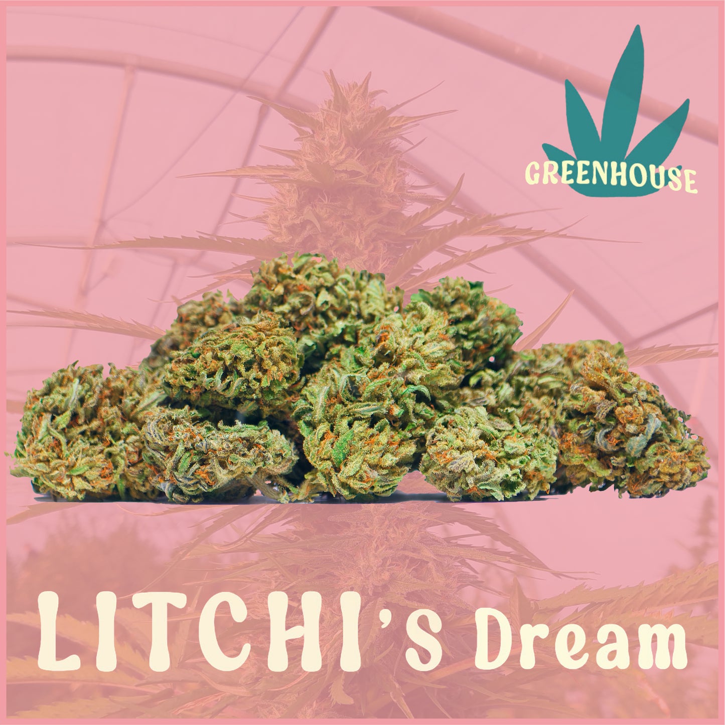 Litchi's Dream CBD