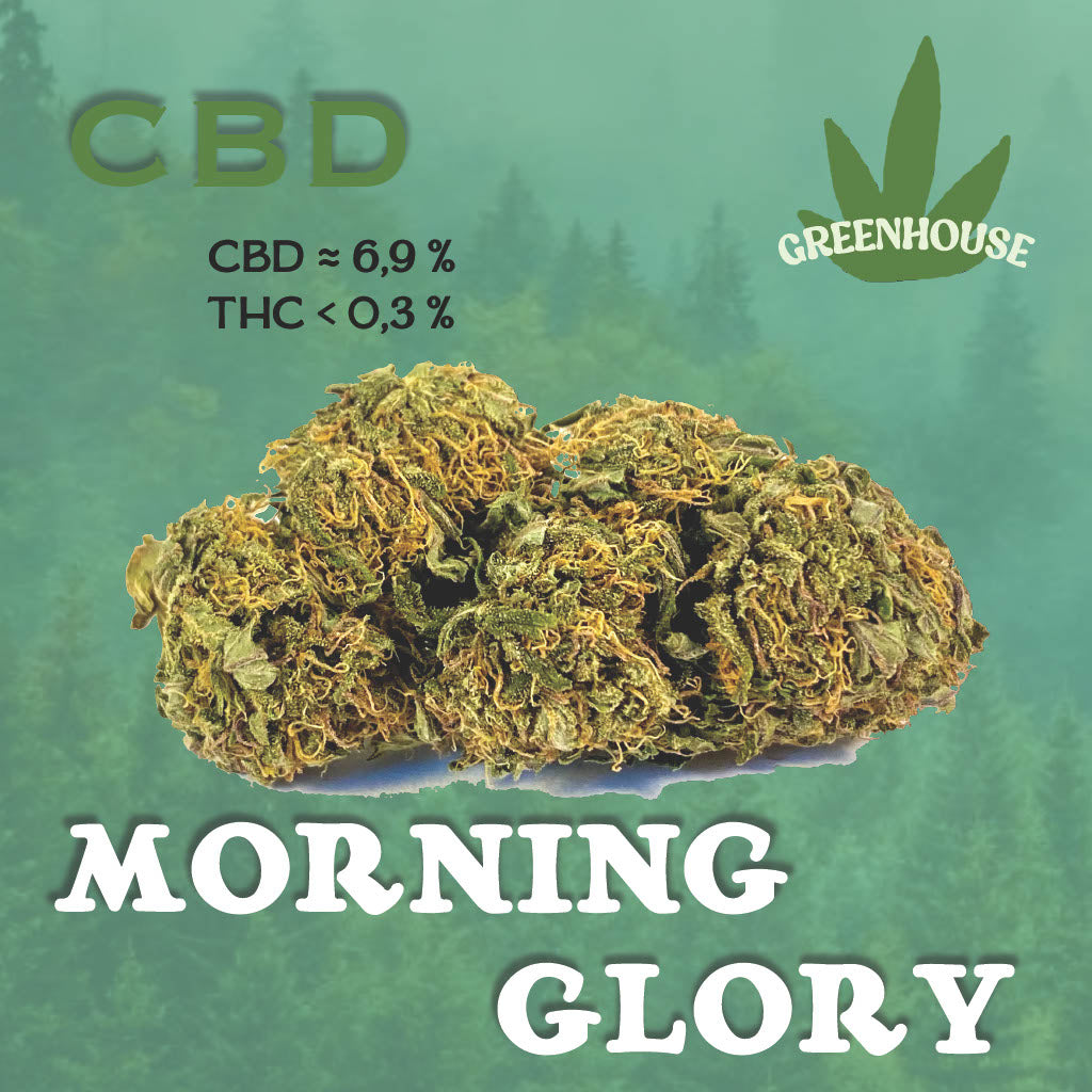 Morning Glory CBD