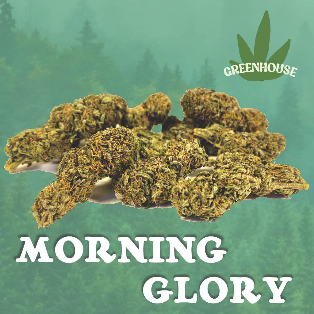Morning Glory CBD