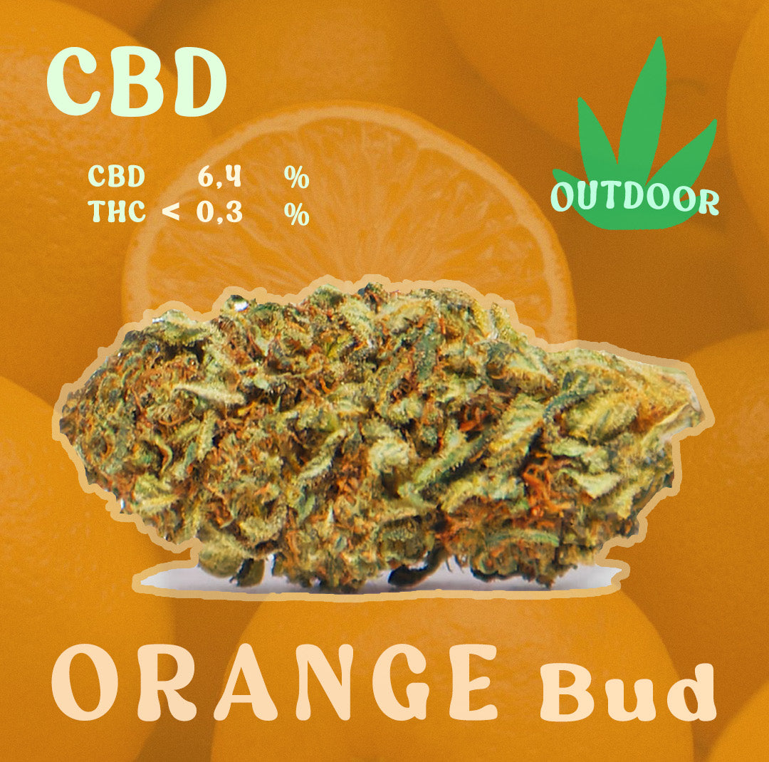 Orange Bud CBD