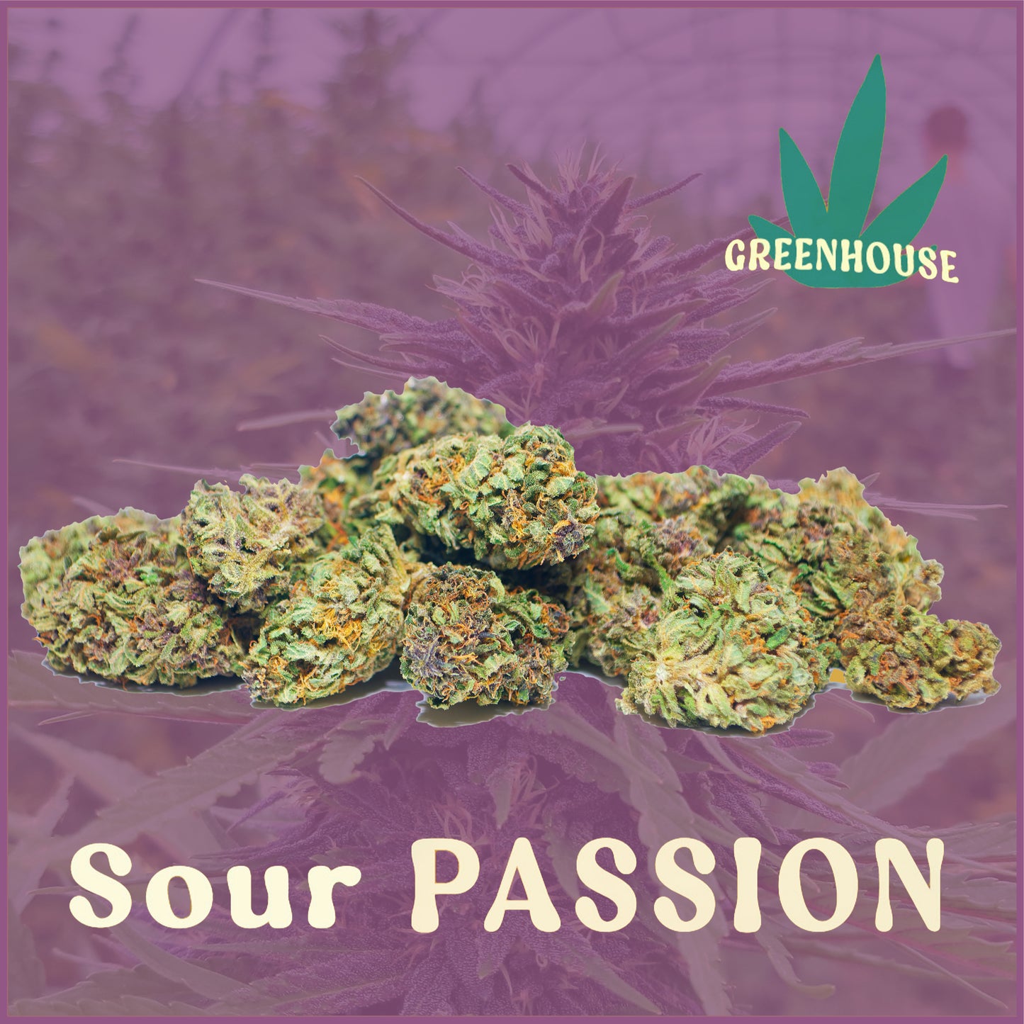 Sour Passion CBD