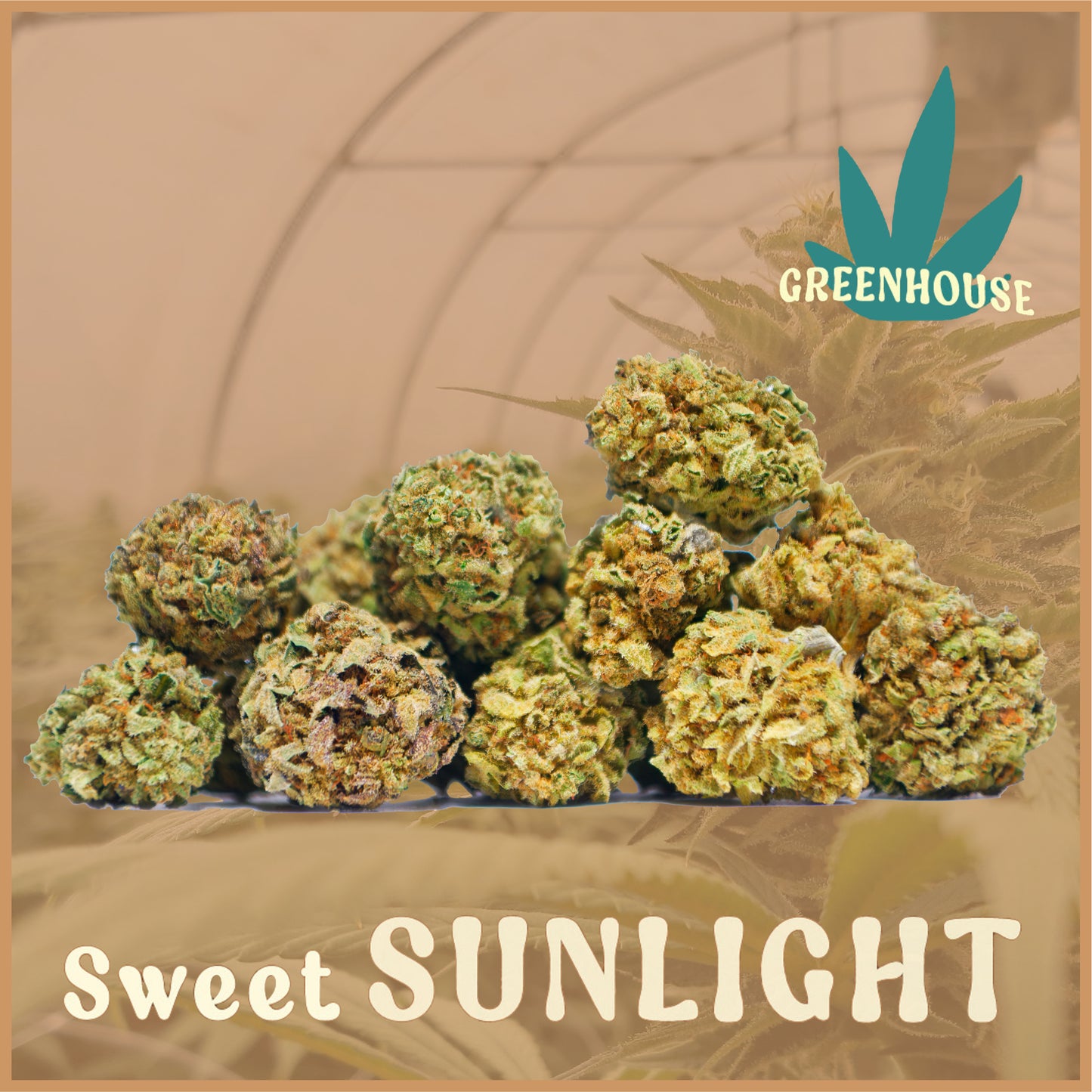 Sweet Sunlight CBD
